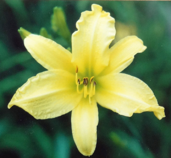 Hyperion